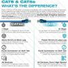 5 Core Ethernet Cable 3 Feet 1 Piece Blue Cat 6 Cord Premium RJ45 Internet Cable Cat6 Compatible w Cat 5 Cat 7 Cat 5e Network Cable -ET 3FT BLU